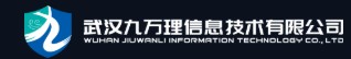武汉九万理信息技术有限公司