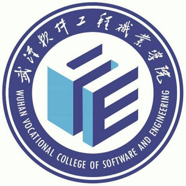 武汉软件工程