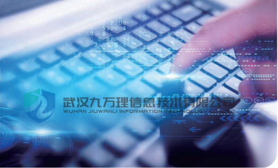 武汉九万理信息技术有限公司