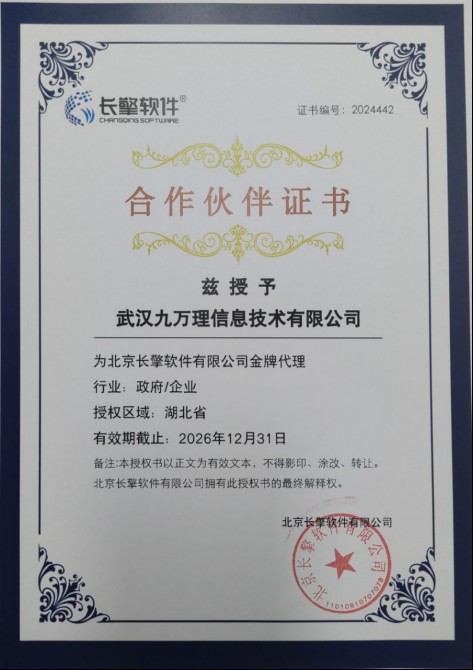 长擎软件合作伙伴