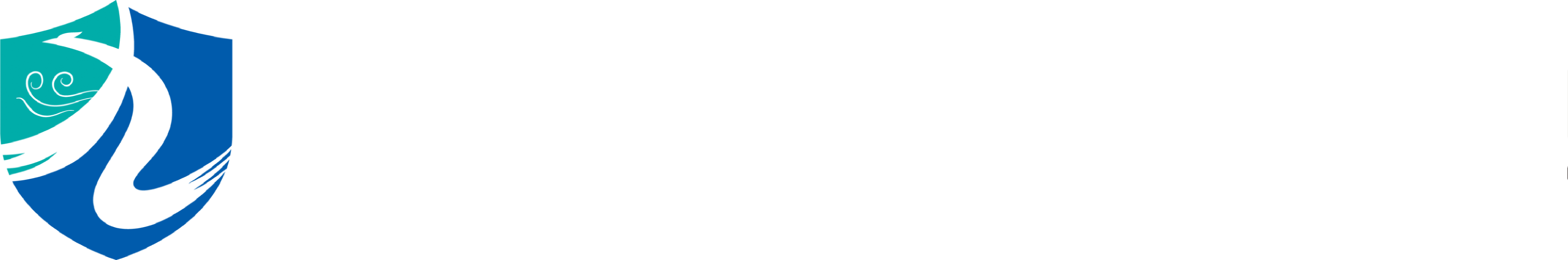 九万理科技